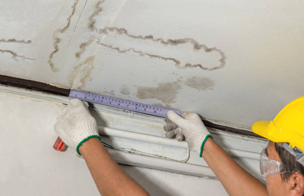 Reliable Water Damage contractor in Cougar, WA by Water Damage Irwin